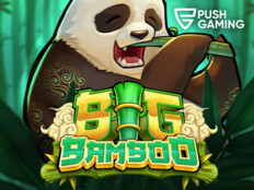 Play flash casino6